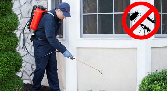 Tekman Karınca İlaçlama böcek ilaçlama ve haşere kontrolü — ilaclama-tr.com